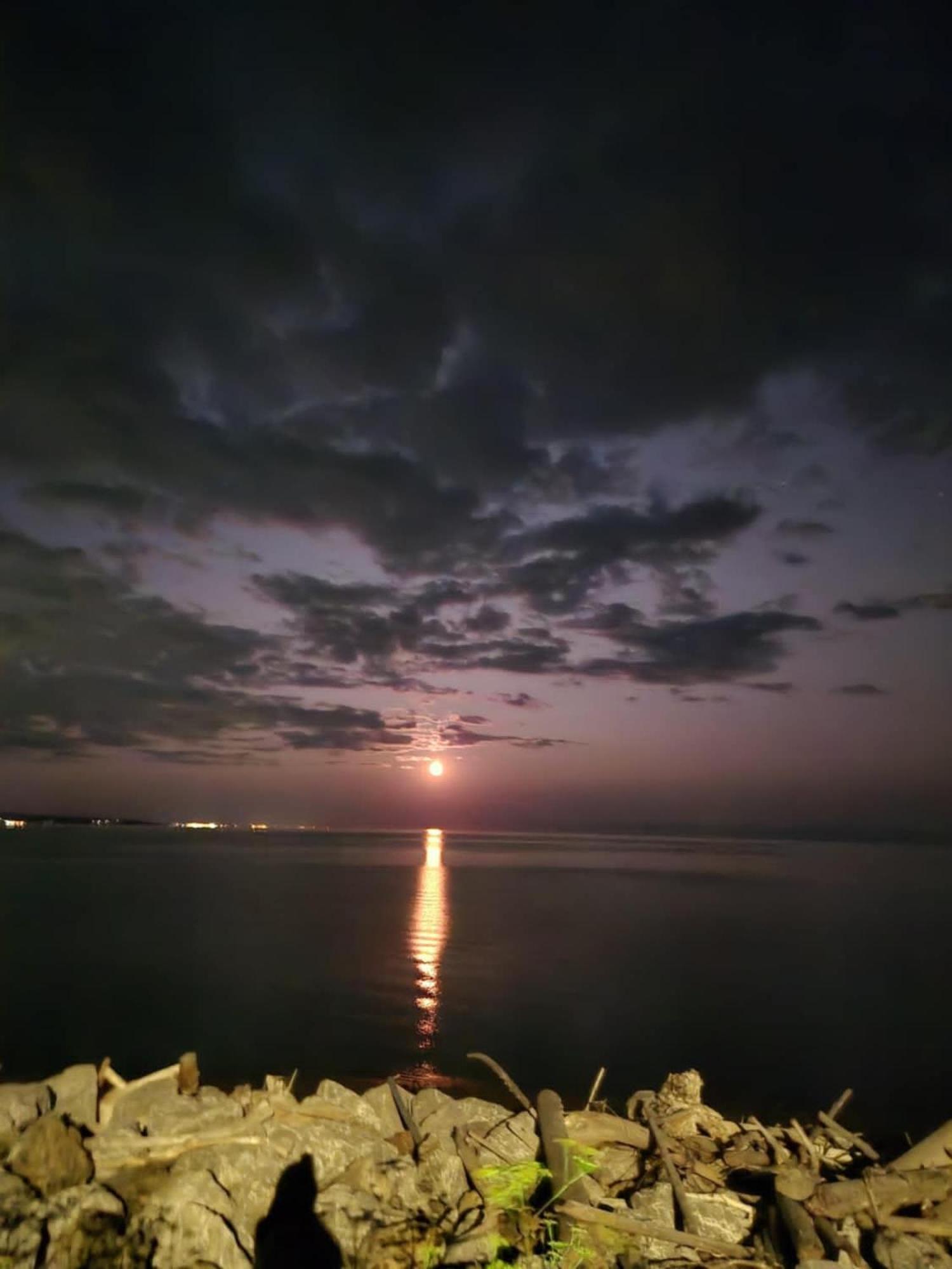 Motel Leblanc Carleton-sur-Mer ภายนอก รูปภาพ